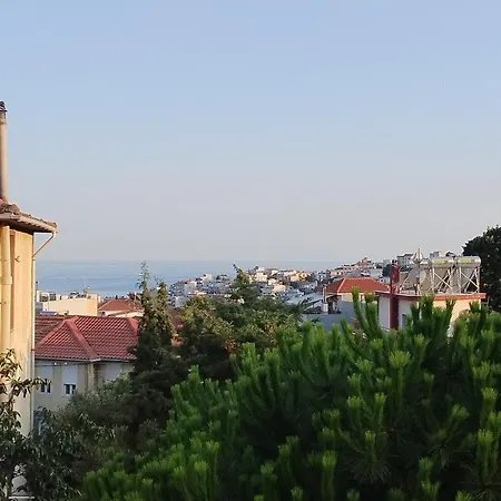 Апартаменты Anestia Family House *